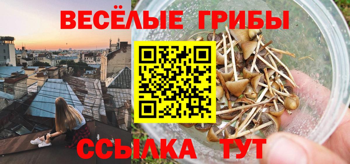 Псилоцибиновые грибы Magic Shrooms  Вход с VPN  Саратов 